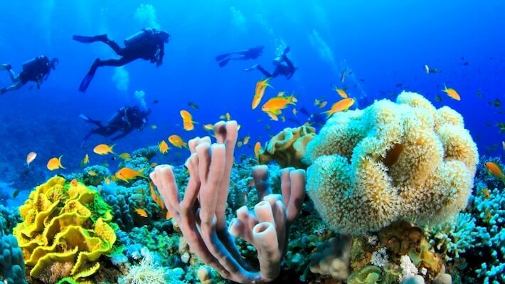 diving -Sharm el SHEIKH